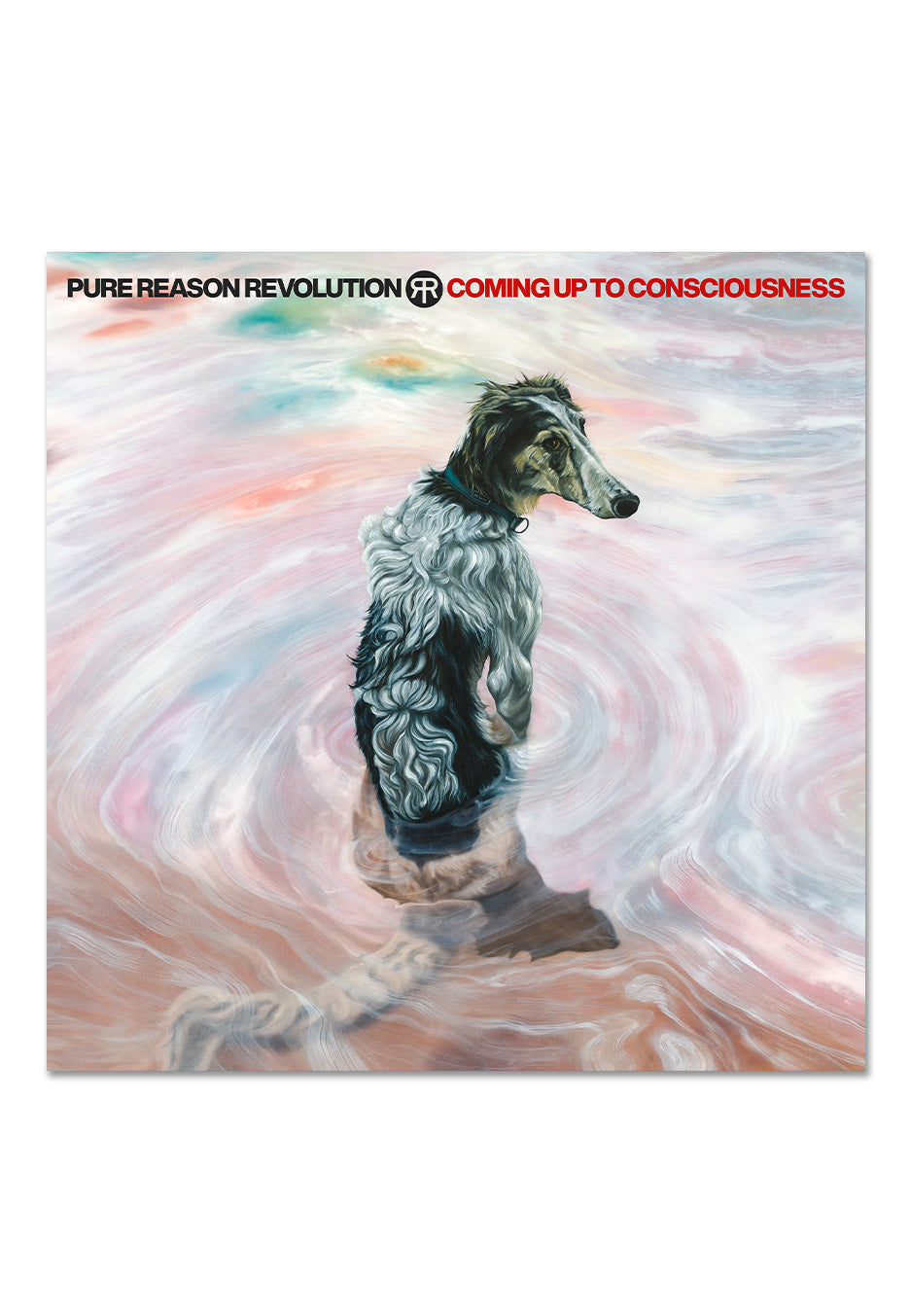 Pure Reason Revolution - Coming Up To Consciousness Ltd. ReVinyl - Colored Vinyl | Neutral-Image